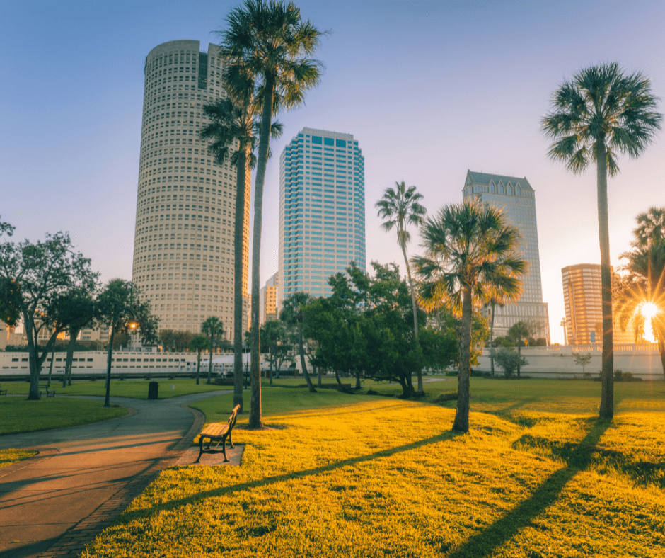 Ultimate Guide to Moving to Tampa